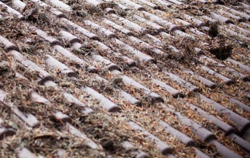 Anderson roof cleaning companies