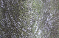 Anderson fibreglass roof work